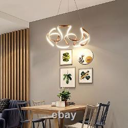 LED Pendant Light Chandelier Lighting Modern Hanging Lamp Fixture Dining Room