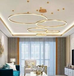 Luxury Italian Modern Led Ring Light Gold Brown Chandelier Pendant Lighting 2022