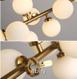 Modern 16-Light Glass Globe LED Chandelier DNA Shaped Pendant Ceiling Lighting