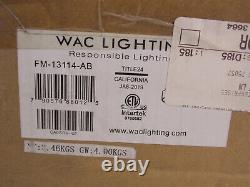 WAC Lighting FM-131114-AB LED 14 Semi-Flush Mount Ceiling Light, Aged Brass