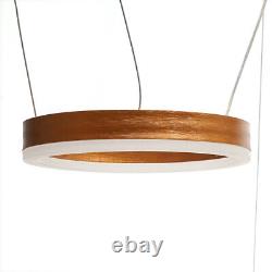 Lustre moderne avec anneau lumineux à LED en acrylique suspendu